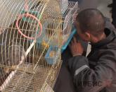 «Очень эмоционально»: контактный зоопарк привезли в колонии Павлодара
